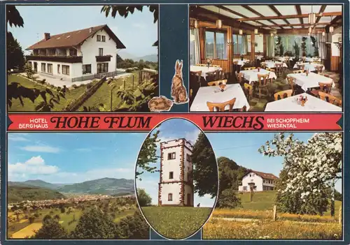 AK, Wiechs über Schopfheim, Hotel Berghaus Hohe Flum, fünf Abb., um 1975