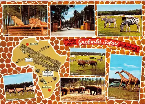 AK, Stukenbrock i.d. Senne, Grosswild-Safari, acht Abb., gestaltet, 1973