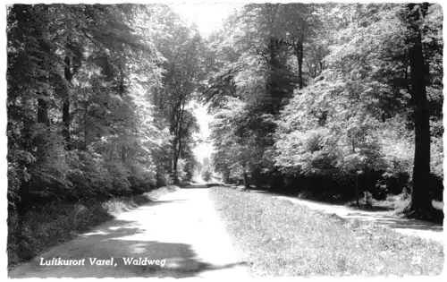 AK, Luftkurort Varel, Waldweg, 1964