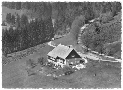 AK, St. Blasien, Ferienhaus Hierbach, Luftbildansicht, 1964