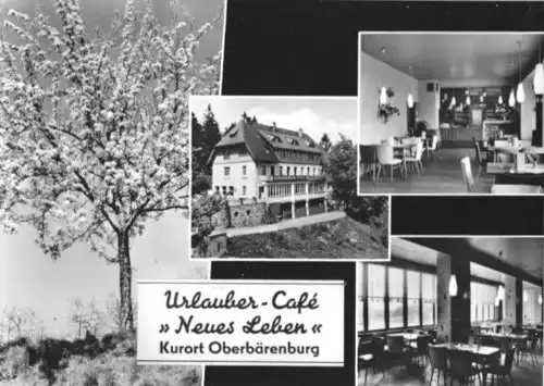 AK, Kurort Oberbärenburg Erzgeb., Urlauber-Café, 1966