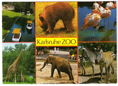 AK, Karlsruhe, Zoo, sechs Abb., um 1980