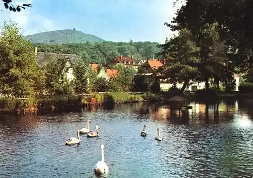 AK, Schieder i. Lippe, Alter Mühlenteich, um 1980