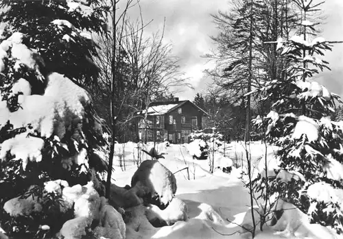 AK, Friedrichroda Thür. Wald, Winteransicht an der Tanzbuche, 1968