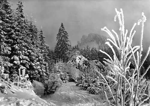 AK, Friedrichroda Thür. Wald, Winteransicht an der Schauenburg, 1969