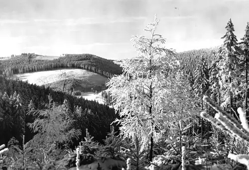 AK, Friedrichroda Thür. Wald, Blick zum Heuberghaus, Winteransicht, 1969