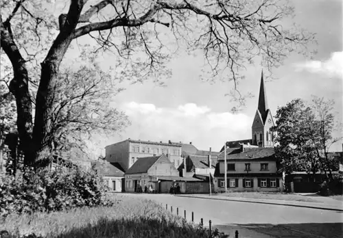 AK, Burg Bez. Magdeburg, Blumenthaler Str., 1966