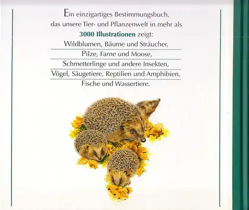 Wegweiser durch die Natur - Die Tiere und Pflanzen Mitteleuropas, 1997