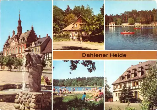 AK, Dahlen, Dahlener Heide, fünf Abb., 1980