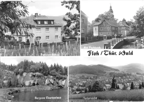 AK, Floh Thür. Wald, vier Abb., 1982