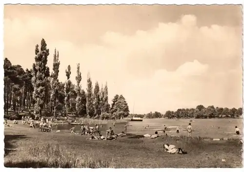 AK, Grünheide, OT Fangschleuse, Strand am Werlsee, 1963