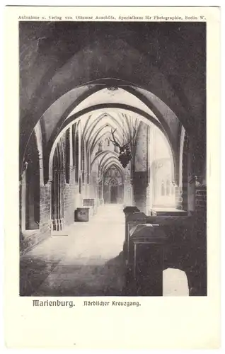 AK, Marienburg Westpr., Malbork, Die Marienburg, Nördlicher Kreuzgang, 1912