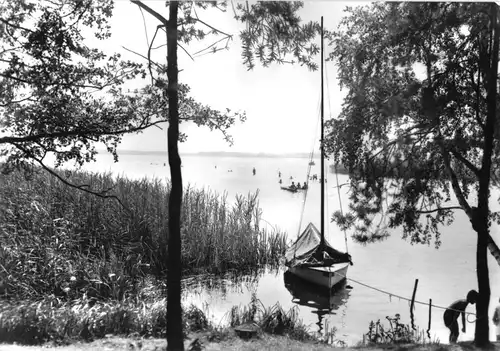 AK, Wolzig Kr. Königs Wusterhausen, Am Wolziger See, 1982