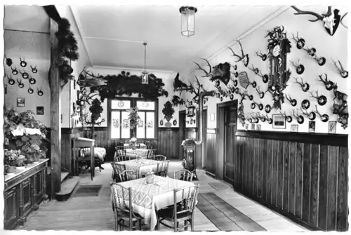AK, Bad Kissingen, Café Jagdhaus Messerschmidtt, Jagdzimmer, um 1960
