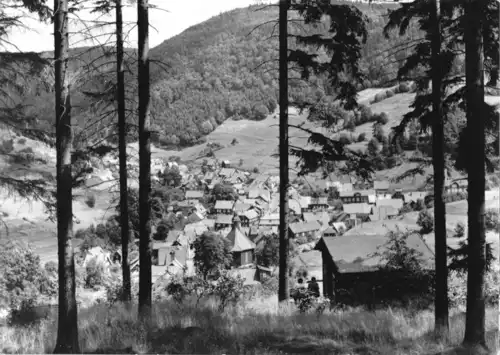 AK, Gießübel Thür. Wald, Teilansicht, 1974