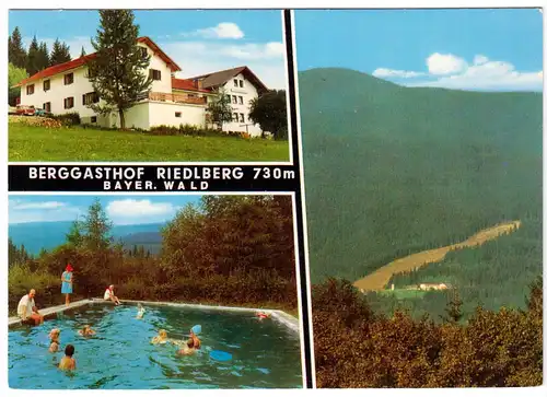 AK, Oberried - Wald b. Bodenmais, Pension Riedelberg, drei Abb., um 1972