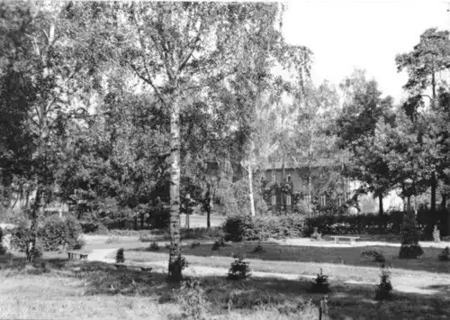 AK, Beelitz Kr. Potsdam, Parkanlage am Wasserturm, 1974