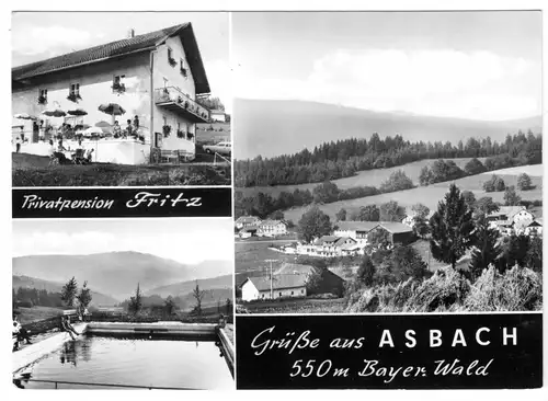 AK, Asbach Bayer. Wald, Privatpension Fritz, drei Abb., um 1970