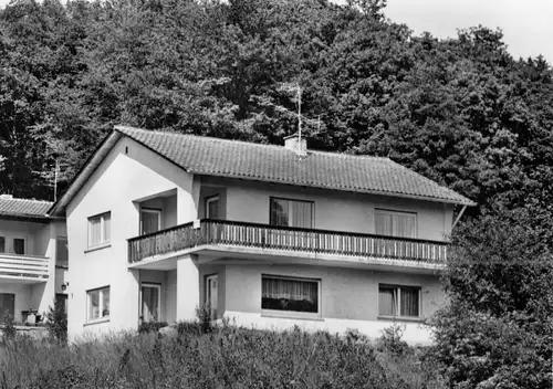 AK, Wald-Michelbach Odenw., Haus Larsen, um 1969