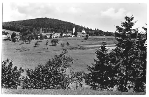 AK, Schönberg am Kapellenberg bei Bad Brambach, Gesamtansicht, 1958