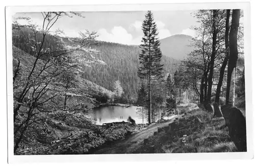 AK, Oberhof Thür. Wald, Silberteich, 1952