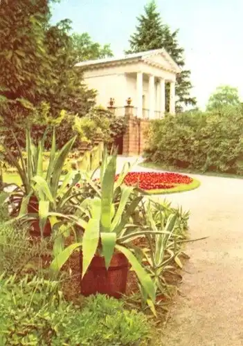 AK, Wörlitz, Wörlitzer Park, Floratempel, 1971