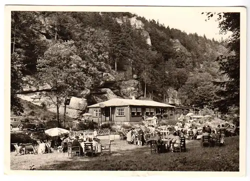 AK, Pottenstein Fränk. Schweiz, Wald-Café, belebt, 1954, Echtfoto