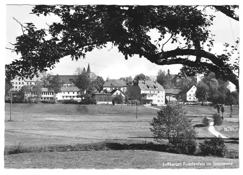 AK, Friedenfels im Steinwald, Teilansicht, um 1965