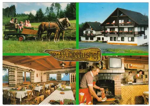AK, Poppenburg Opf., Gasthof-Pension Hubertushof, vier Abb., 1991
