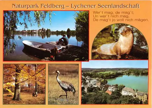AK, Naturpark Feldberg - Lychener Seenlandschaft, fünf Abb., um 1995