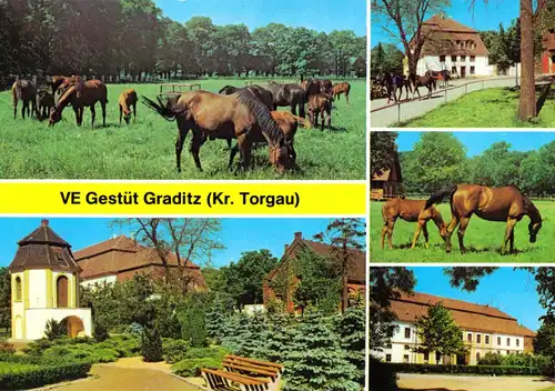 AK, Graditz Kr. Torgau, VE Gestüt Graditz, fünf Abb., 1986