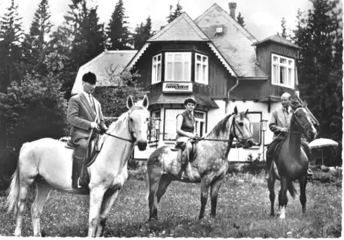 AK, Braunlage Harz, Café und Reitschule "Haus Harzfried", Pferde, um 1962
