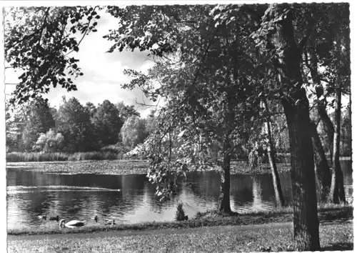 AK, Berlin Hermsdorf, Am Waldsee, um 1959