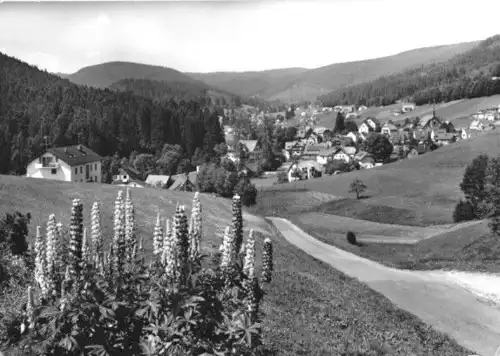 AK, Obertal - Buhlbach Schwarzw., Teilansicht, 1970