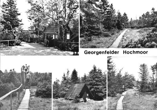 AK, Zinnwald-Georgenfeld Erzgeb., Georgenfelder Hochmoor, fünf Abb., 1980