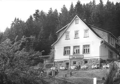 AK, Heubach Thür. Wald, Café Heubach, 1981