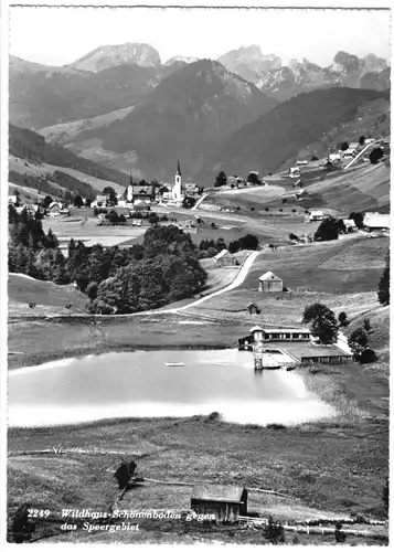 AK, Wildhaus - Schönenboden, SG, Teilansicht gegen das Speergebiet, 1967