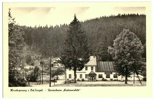 AK, Hirschsprung Osterzgebirge, Ferienheim "Ladenmühle", 1961