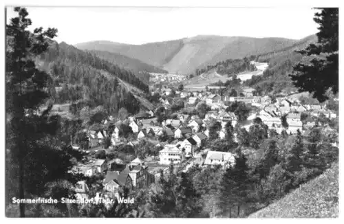 AK, Sitzendorf Thür. Wald, Teilansicht 1, 1965