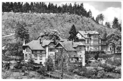 AK, Finsterbergen Thür. Wald, Villen am Naturpark, 1966