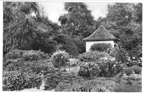 AK, Erfurt, Partie im Stadtpark, 1959