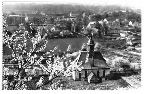 AK, Dresden - Pillnitz, Teilansicht mit Weinbergskirche, 1969
