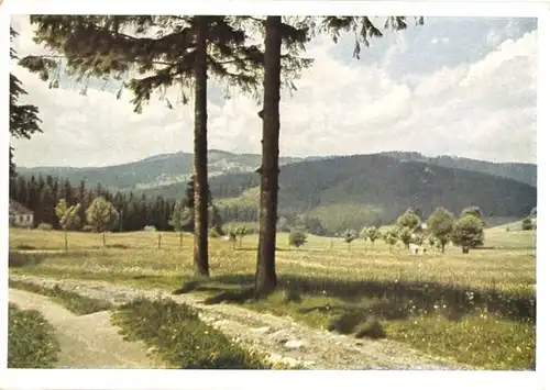 AK, Vogtland, Weg zum Pleßberg, 1951