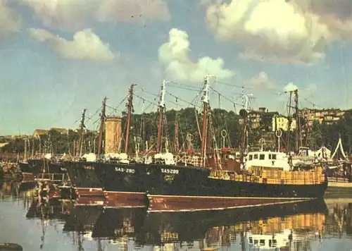 AK, Saßnitz, Im Hafen, mit Fischereischiffen, 1963