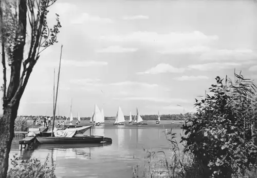 AK, Arendsee Altmark, See mit Segelbooten, 1974