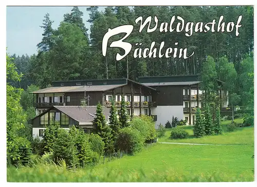 AK, Mitwitz OT Bächlein, Waldhotel Bächlein, um 1995