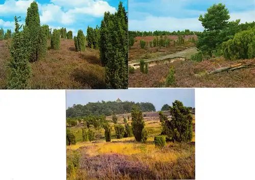 AK - Posten, 7 Colorkarten, Lüneburger Heide, 1990er