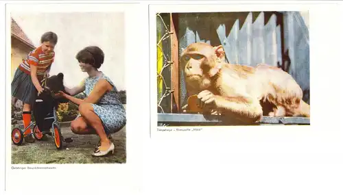 zehn AK, Jeggeleben Kr. Kalbe Milde, Ausflugsgaststätte "Feine Sache", 1967