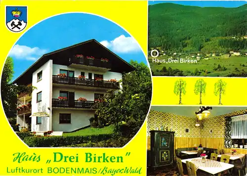 AK, Bodenmais Bayer. Wald, Haus "Drei Birken", drei Abb., 1992