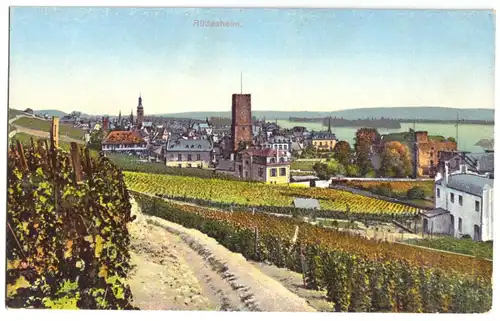 AK, Rüdesheim Rhein, Teilansicht, Weinberge, ca. 1914